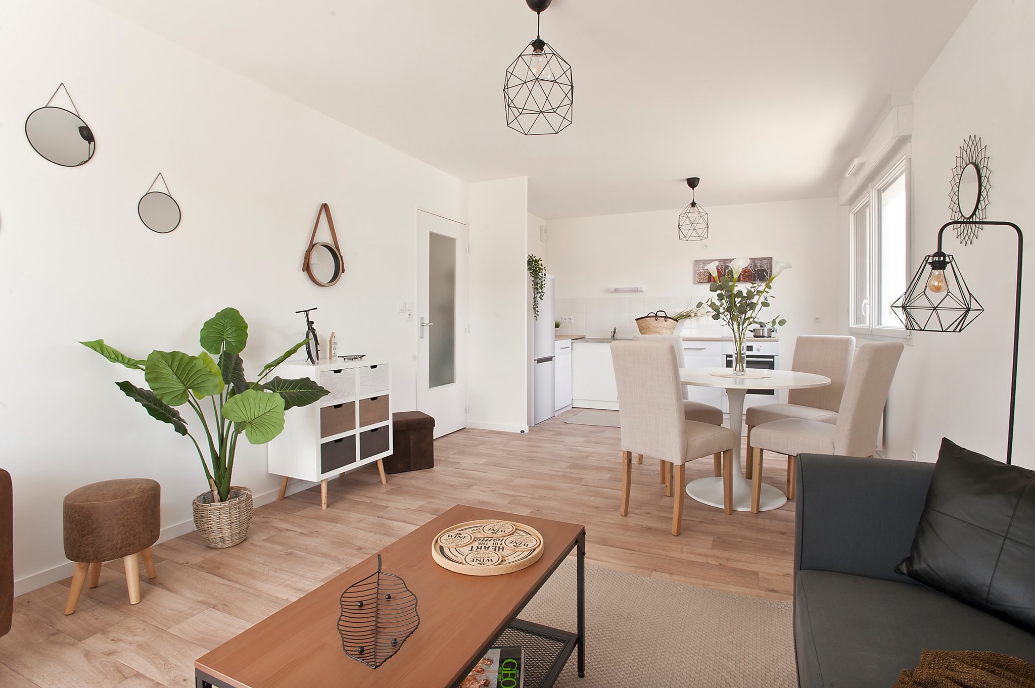 Plante Intérieur salon Home-Staging Experts