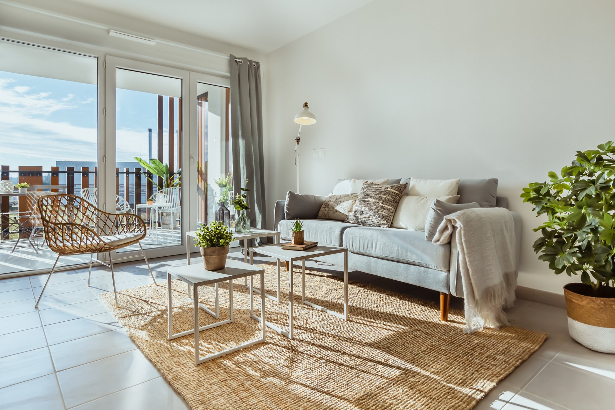 Plante Intérieur salon Home-Staging Experts