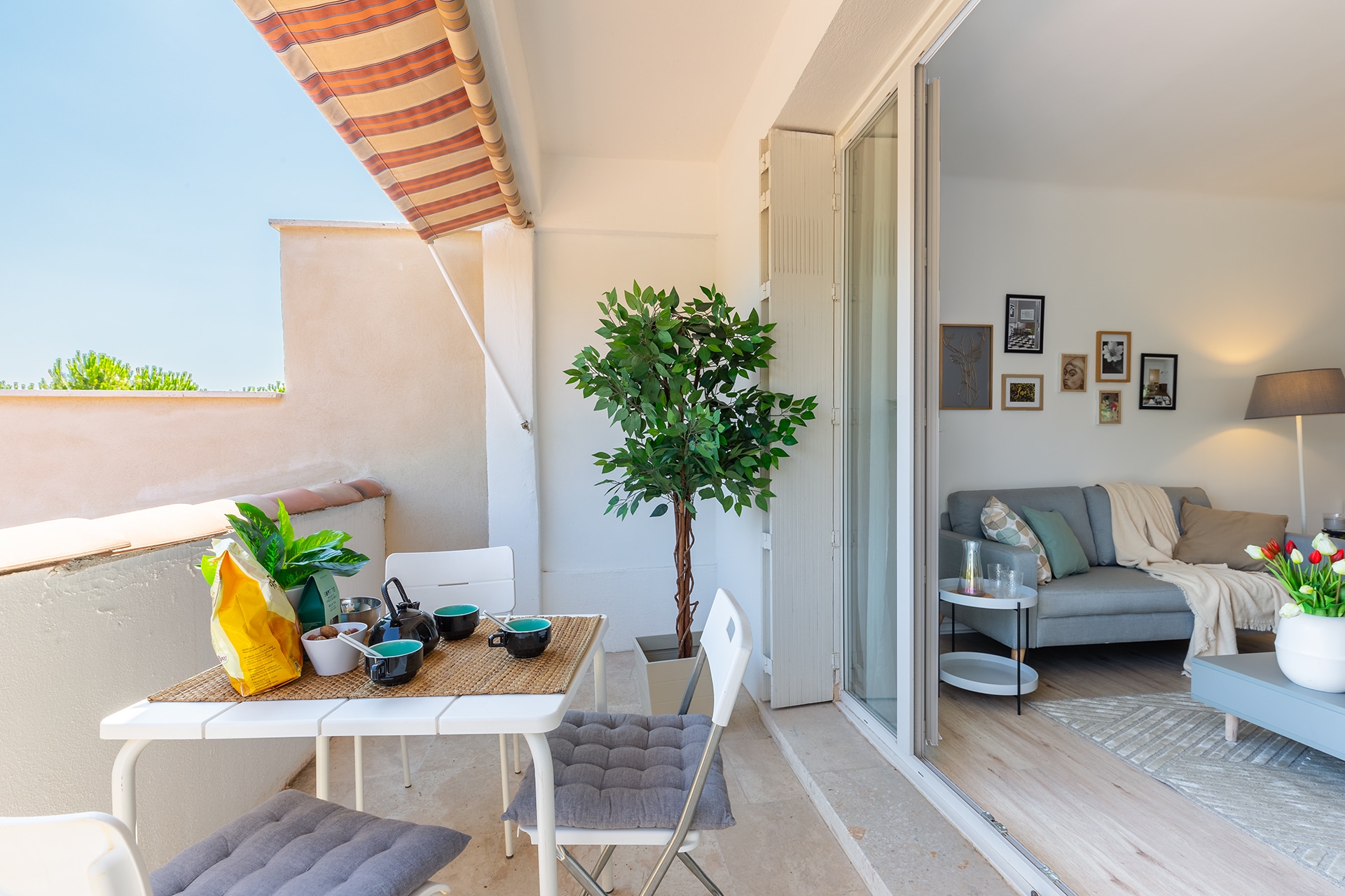 Photo Article Tendance Jardin 2020